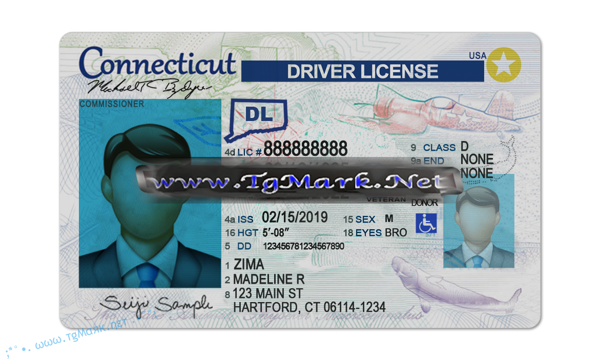 france driver license psd template
